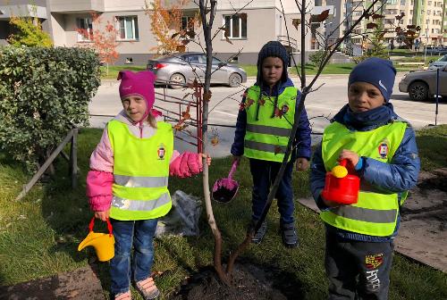 Воспитанники детского сада «Левушка» украсили наукоград кленовой аллеей