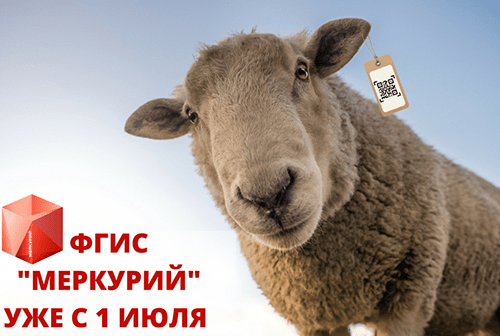 Электронная ветеринарная сертификация внедрена в НСО
