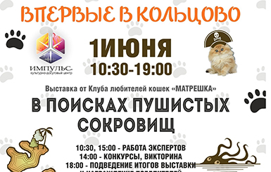 В Кольцово пройдет выставка кошек