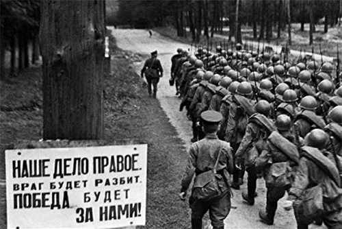 22 июня кольцовцы соберутся у «Древа жизни»