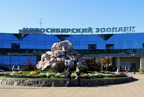 Вход на «Праздник детства в Зоопарке» для детей будет бесплатным