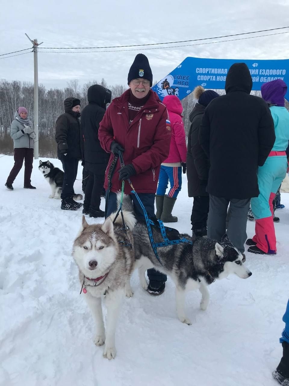 На базе Nozdrikha Sport Park прошел чемпионат Новосибирской области по ездовому спорту