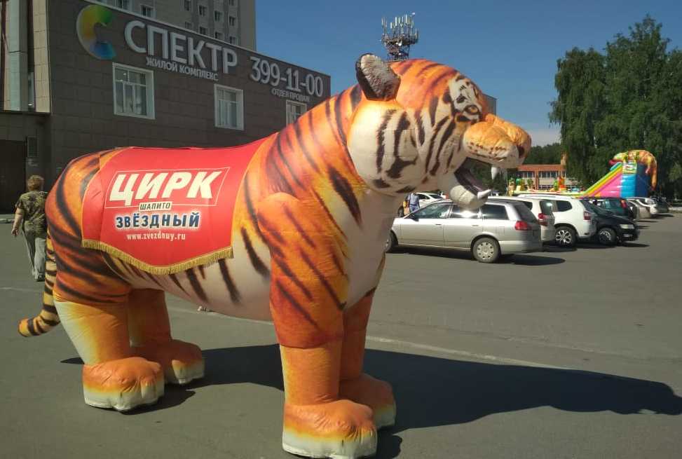 По Кольцово в день открытия цирка разгуливает гигантский тигр (фото)