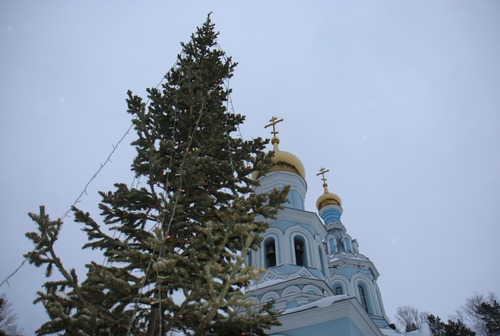 Кольцовчан поздравляют с православным Рождеством!