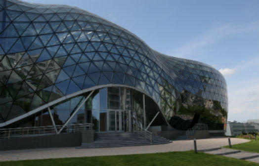 OpenBio-2019: диагностика овощей, кишечник долгожителя, СКИФ и другое
