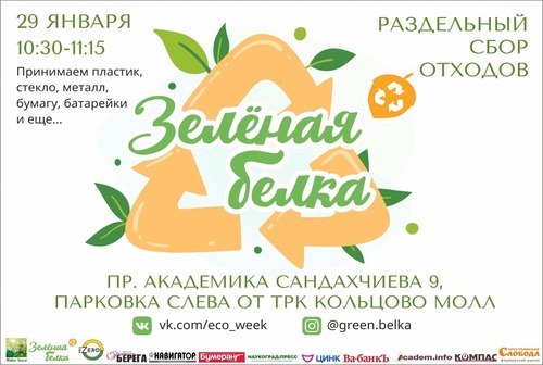 Зелёная белка возвращается!