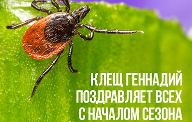 Жителям Кольцово рекомендуют пройти вакцинацию для профилактики клещевого вирусного энцефалита 
