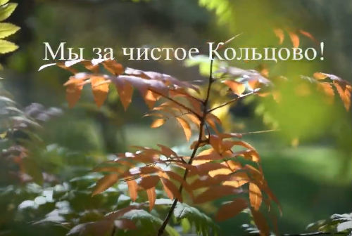 «Мы за чистое Кольцово»: школьники наукограда провели экоакцию