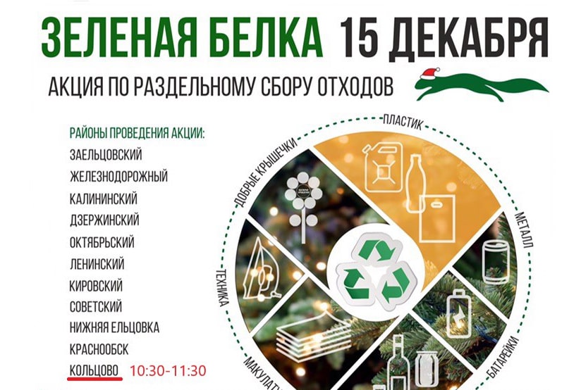 «Зеленая белка» заберет вторсырье в Кольцово 15 декабря