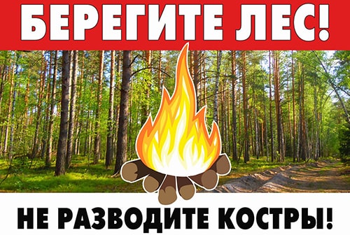 Сухая трава может стать причиной большого пожара