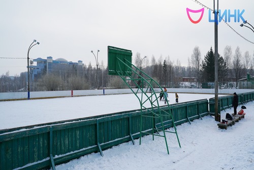 Потеряшки ждут своих хозяев на катке ЦССК!